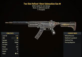 Two Shot 10mm Submachine Gun - Level 40