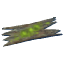 Ancient bark *50