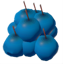 Blueberries *50