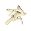 Bone fragments *50