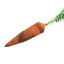 Carrot *50
