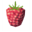 Raspberries *50