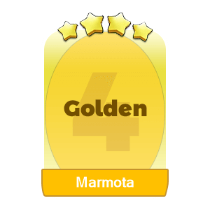 Marmota
