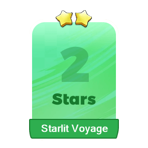 Starlit Voyage