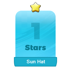 Sun Hat
