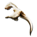 Alpha Basilisk Fang (Aberration)