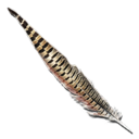 Rock Drake Feather (Aberration)