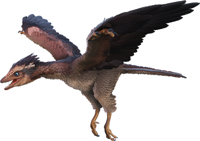 Archaeopteryx