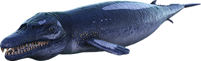 Basilosaurus