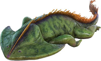 Diplocaulus