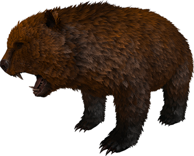 Direbear