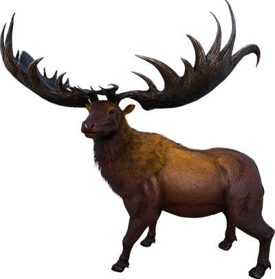 Megaloceros