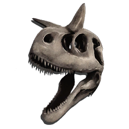 Skeletal Carnotaurus