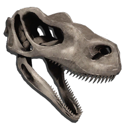 Skeletal Raptor