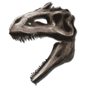 Giganotosaurus Bone Costume