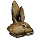Procoptodon Bunny Costume