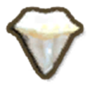 Alpha Shark Tooth