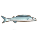 Barracuda