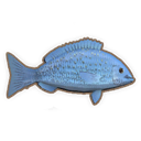 Bluefish
