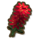 Bottle Brush