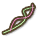 Bright Wire