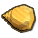 Cassidae Shell