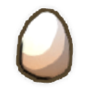 Chicken Egg