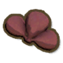 Cooked Cactus Fig