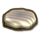 Cooked Mushroom