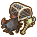 Crab Catcher