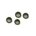 Fir Grass Seed