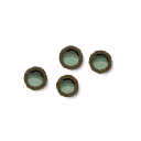 Fir Grass Seeds