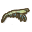 Fresh Water Prawn