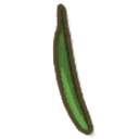Green Bean