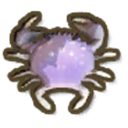 Purple Mottled Crab