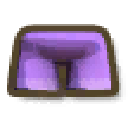 Purple Shorts