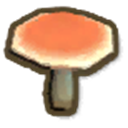 Red Roundhead