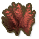 Red Seaweed