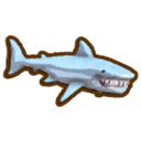 Shark Hunter