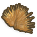Spinifex Tuft