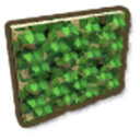 Vine Lattice Ladder