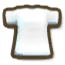 White T-Shirt