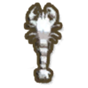 White Yabbie
