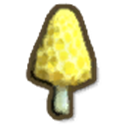 Yellow Morel