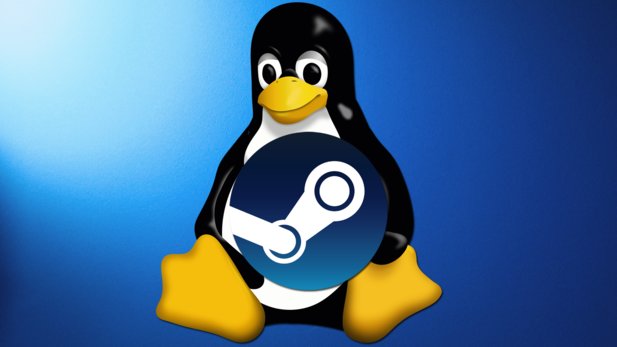linux-and-steam_6041100