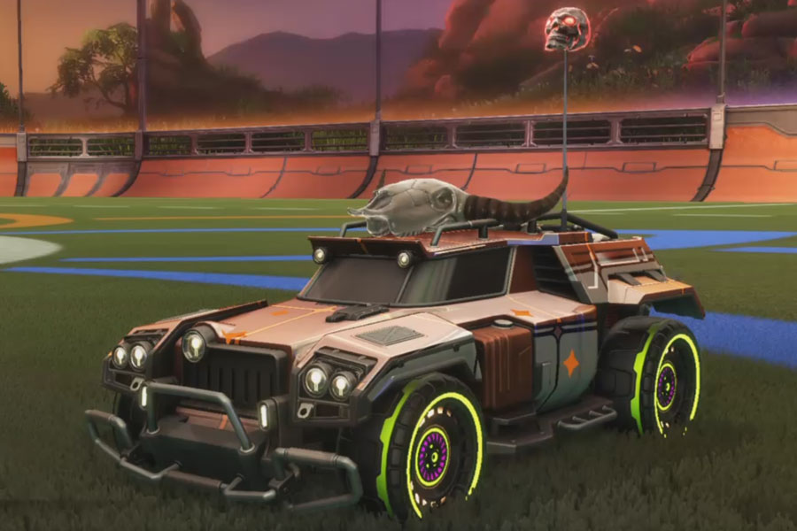 Rocket league Marauder design with Spiralis,Proton,Skull,Vaticnator,Cow Skull,Classic,Tarnation