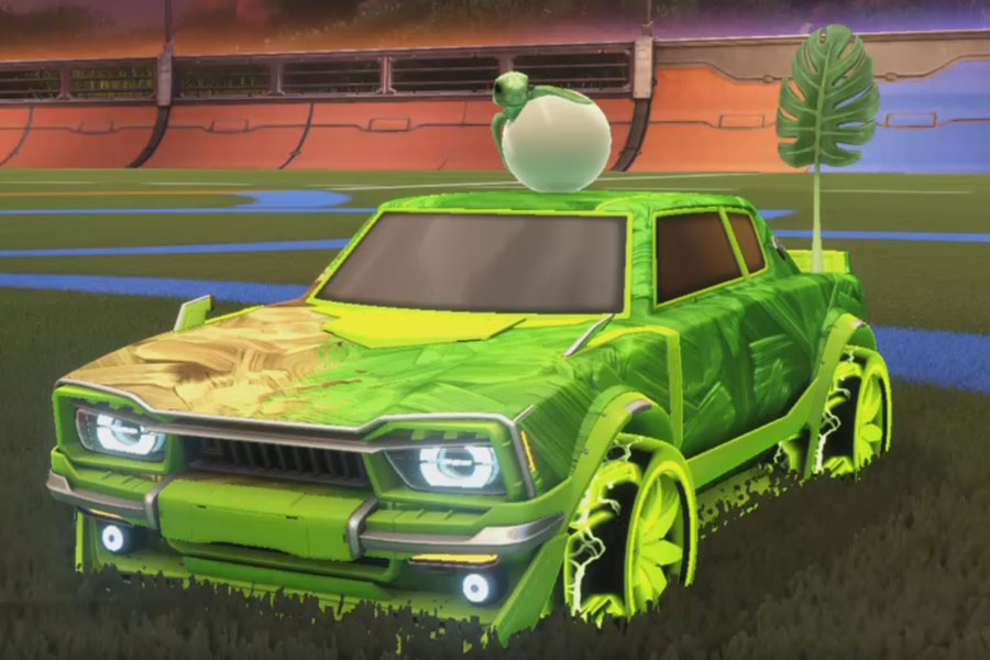 Rocket league Dingo Lime design with Floret:Infinite,Mandala,Green Leaf,Stride Tide,Baby Turtle,Classic,Dimensionator
