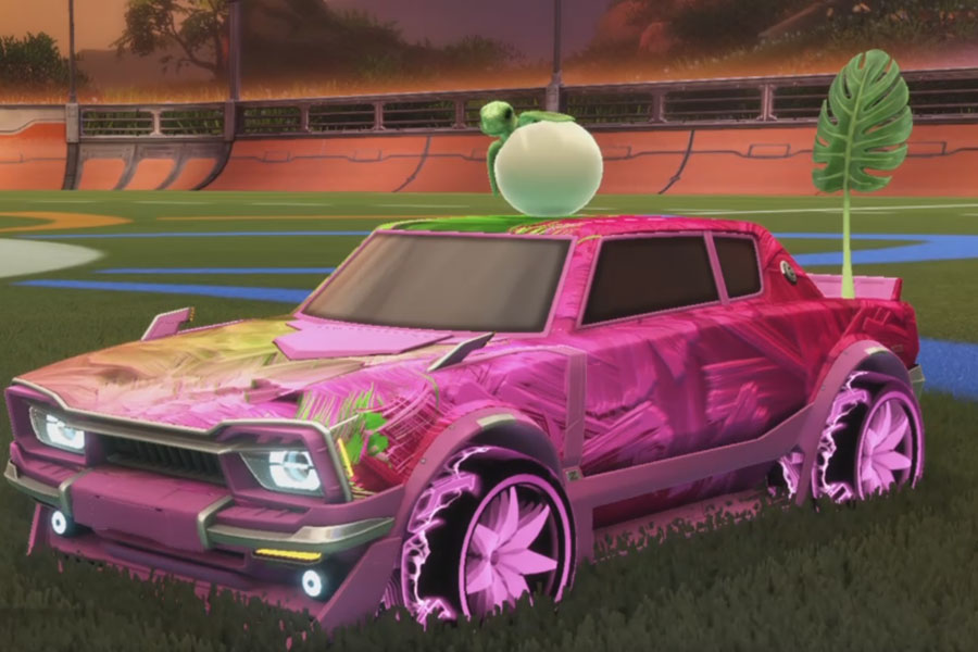 Rocket league Dingo Pink design with Floret:Infinite,Mandala,Green Leaf,Stride Tide,Baby Turtle,Classic,Dimensionator